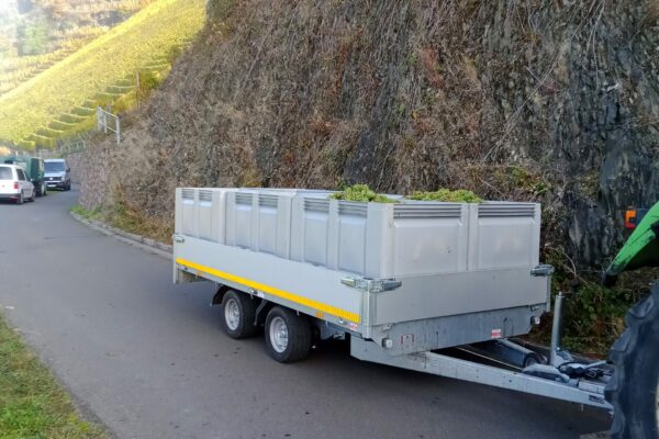 IMG_20211029_110144_183