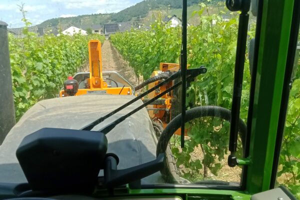 IMG_20230619_125444_894